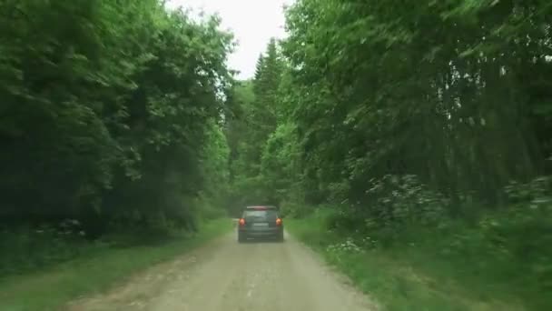 Ręka Trzymana Szeroko Ujęciu Samochodu Jadącego Żwirową Leśną Drogą Wieje — Wideo stockowe
