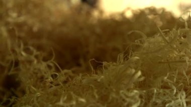 Carpenter 's Workshop' ta Bir Çok Kıvırcık Ahşap Talaşının Odak Hareketi Çekimi