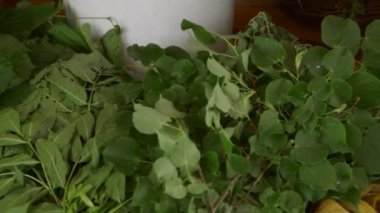 Birçok farklı yabani bitkinin, çiçeğin, dalların, yaprakların yakından çekilmesinin ardından elde tutulur.