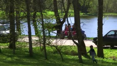 At Arabasında Önde Gelen Birkaç Çocuğun Geniş Çekimi, Etrafta Koşan Köpekler