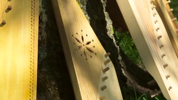 Ağaç Gövdesine Yerleştirilmiş Taze Yapılmış Ahşap Fermuarların Yakın Çekimi — Stok video