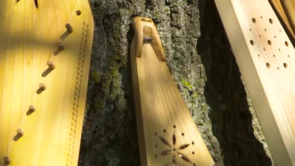 Dolly Close Shot Świeżo Wykonane Drewniane Suwaki Narodowe Umieszczone Przez — Wideo stockowe