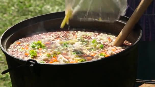 Ручной Выстрел Ингредиентов Добавляемых Суп Приготовленный Костре Черном Горшке — стоковое видео