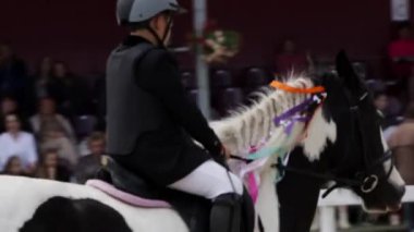 Ağır Hareket Geniş Vuruşlu Siyah ve Beyaz Atlı Süvari Örgülü Beyaz Yeleli ve Renkli Kurdeleli