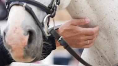 Ağır çekim, Binici Kız ve Beyaz At 'ın Boynunu Okşan Adam' ın Yakın Çekimi