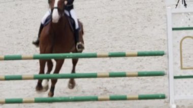 Slow Motion Medium Shot Equestrian with Horse Zıplıyor ve Top Bar 'da Düşüyor