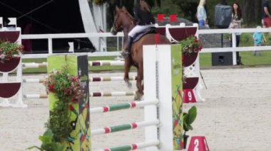 Yavaş Hareket Geniş Atış Atı ve At Yarışmasındaki Engeli Üstünden Atlarken Başarıyla