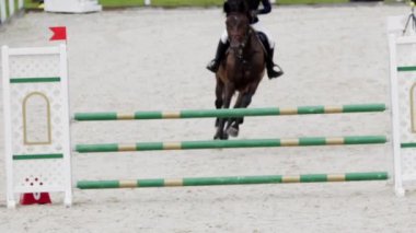 Slow Motion Medium Shot Equestrian with Horse Zıplıyor ve Top Bar 'da Düşüyor