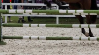 Yavaş Hareket Yakından Çekilen At Yarışması Engeli Üstünden Atlarken Başarıyla Çekilen Yakın Çekim