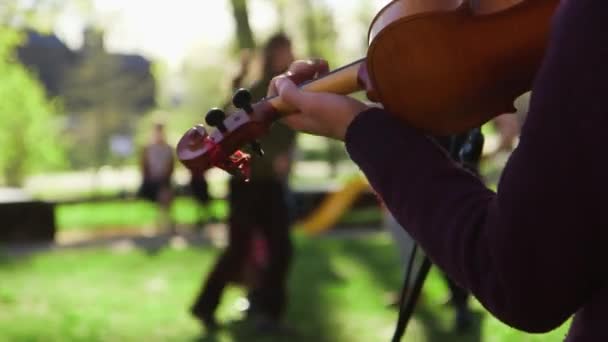Долли Заткнула Рот Четверым Молодым Людям Танцующим Народные Танцы Скрипичном — стоковое видео