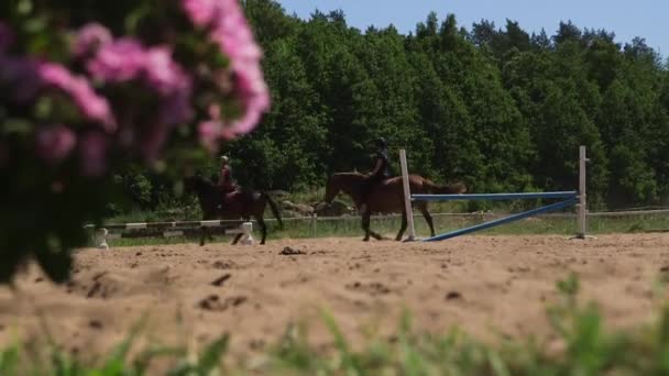 骑着马在乡间竞技场上紧紧抓住一杆鲜花和骑手 — 图库视频影像