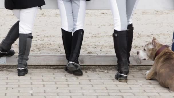 Seguindo Slow Motion Close Tiro Três Meninas Equestres Botas Equitação — Vídeo de Stock