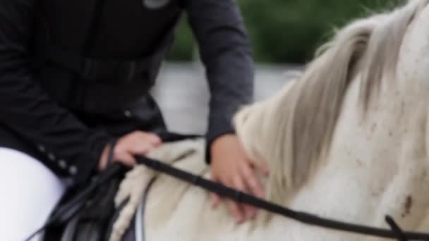 Seguito Rallentamento Close Girato Della Cavallerizza Seduto Cavallo Bianco Accarezzarlo — Video Stock