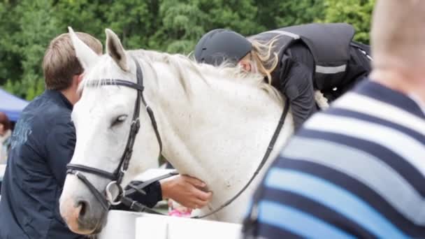 Slow Motion Medium Shot Equestrian Girl Mężczyzna Zarówno Głaskanie White — Wideo stockowe