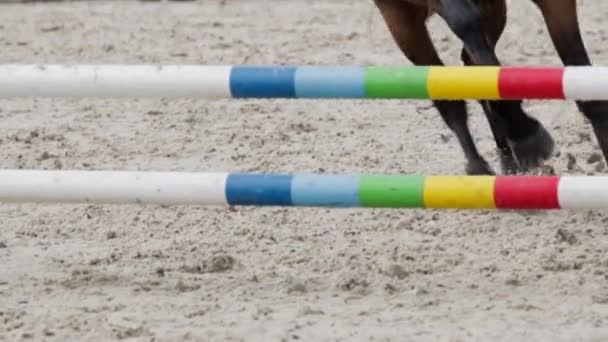 Slow Motion Close Shot Equestrian Koniem Skutecznie Przeskakując Przeszkodę Zawodach — Wideo stockowe