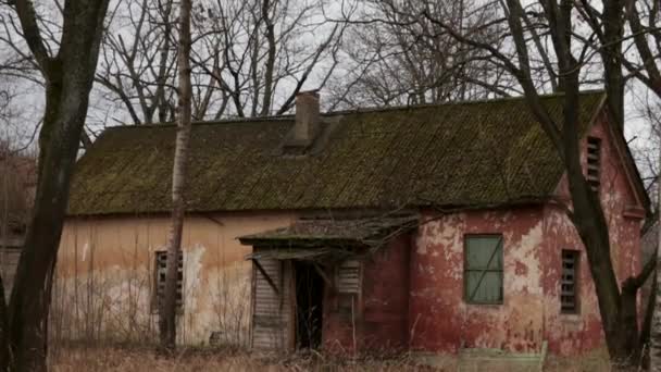 老旧荒废的杂草丛生的房子里的史泰迪康大镜头 — 图库视频影像