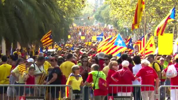 Plan Large Statique Foule Gens Avec Des Drapeaux Catalans Dans — Video