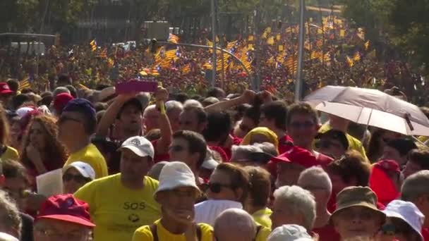Στατικό Ευρύ Πλάνο Του Πλήθους Των Ανθρώπων Καταλανικές Σημαίες Στο — Αρχείο Βίντεο