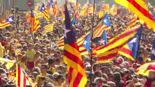 在街上高举加泰罗尼亚旗的人群中大张旗鼓地欢呼 — 图库视频影像