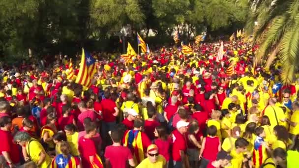 거리에 카탈로니아 깃발을 사람들의 군중의 — 비디오