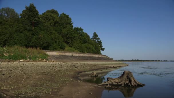 Dolly Wide Shot Von Zurücktretendem Flussufer Enthüllt Baumstümpfe — Stockvideo