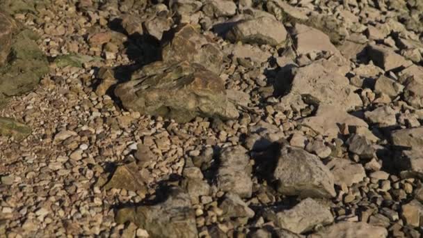 Доллі Крупним Планом Скелястий Річковий Ліжко Після Рівень Води Відновлено — стокове відео