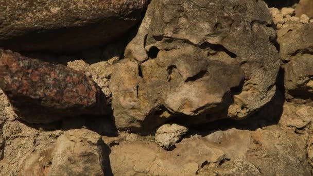 Dolly Nahaufnahme Einer Antiken Kalksteinmauer — Stockvideo