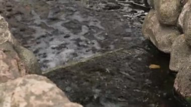 Küçük Şelalenin Yakın Çekimi