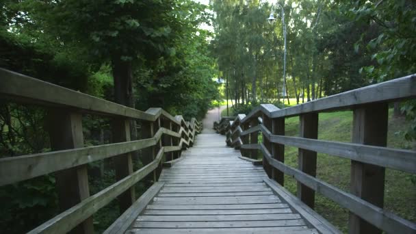 公园内设有台阶和栏杆的木制小路的Dolly Wide Sshot — 图库视频影像