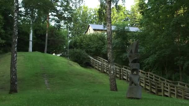 Dolly Szerokie Ujęcie Parku Drewnianą Rzeźbą Schodami — Wideo stockowe