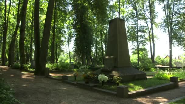 Доллі Широкий Знімок Меморіального Каменю Загиблих Солдат Цвинтарі — стокове відео