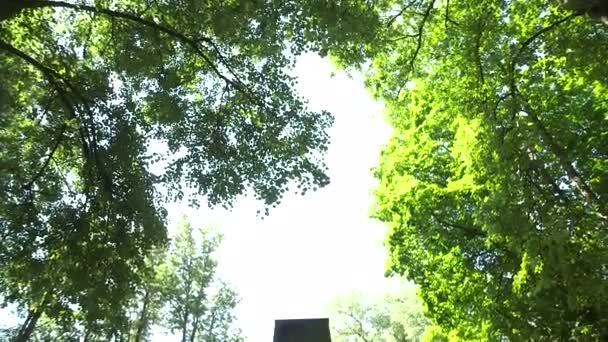 Dolly Medium Schoss Gedenkstein Für Gefallene Soldaten Auf Friedhof — Stockvideo