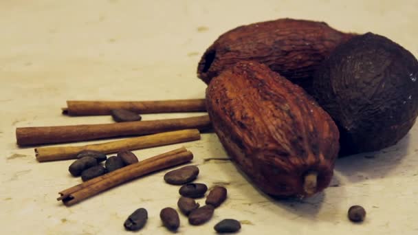 Hand Hielt Nahaufnahme Von Dekorativ Arrangierten Kakaofrüchten Und Bohnen Und — Stockvideo