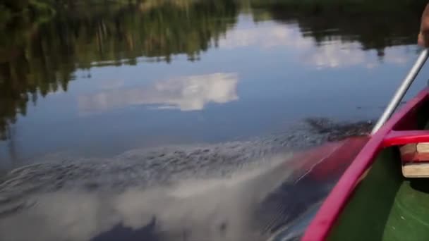 Man Rows River Canoe — Stock Video