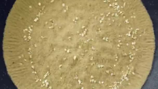声波扬声器上的沙跳 — 图库视频影像