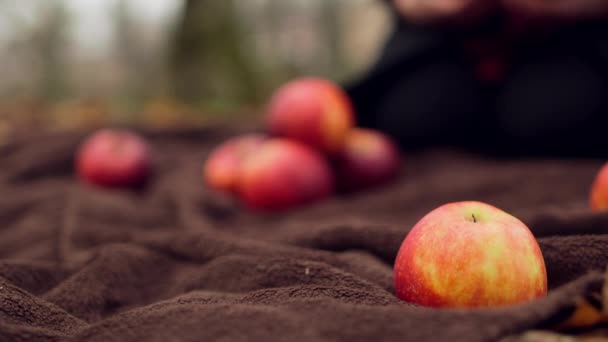 Woman Rolls Beautiful Red Apples Picnic Blanket — Stock Video