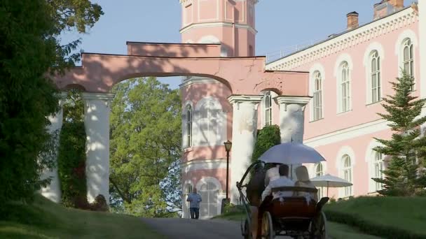 Eine Offene Kutsche Fährt Zum Rosafarbenen Birin Palast Mit Einem — Stockvideo