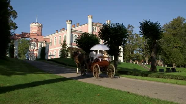 一辆装有中年夫妇的敞篷马车驶向粉红鸟宫 — 图库视频影像