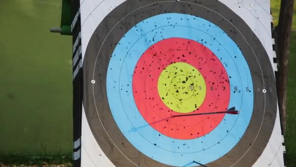 箭击中目标的中心 射箭是用弓箭射击的运动 练习或技能 射箭已被用于狩猎和战斗 — 图库视频影像