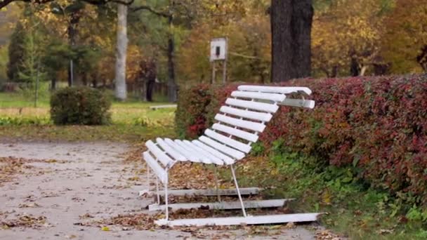 떨어지는 가을에 공원에서 벤치는 사람들이 시간에 앉아있을 수있는 좌석입니다 벤치는 — 비디오