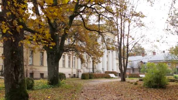 Frau Mittelalterlichen Kleid Geht Durch Einen Herbstlichen Park Zum Herrenhaus — Stockvideo