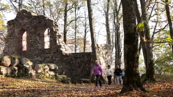Nordic Walkers Ejercicio Las Ruinas Antiguo Castillo Nordic Walking Fitness — Vídeos de Stock