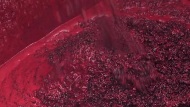 Blodiga Röda Hackade Aronias Faller Ner Stor Vit Behållare Matberedare — Stockvideo