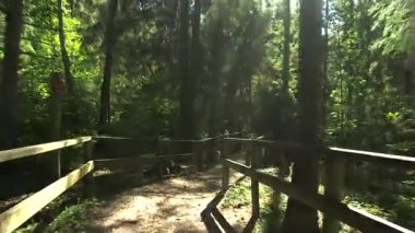 Merdiven ve parmaklıklarla donatılmış Peri Masalı Ormanı Yolu boyunca kayar. Güzel ve Popüler Orman Yolları Tahta Köprüler, Merdivenler, Tırabzanlar, Banklar ve diğer şeylerle donatılmıştır..