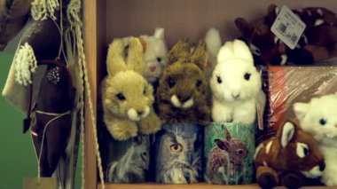 Hayvanat Bahçesi Hediyelik Eşya ve Hediyelik Eşya Dükkanında Doldurulmuş Vahşi Hayvanlar, Yumuşak Pofuduk Oyuncaklar. Hediyelik eşya veya hediyelik eşya dükkanı, esasen hediyelik eşya, hatıra eşya ve temayla ilgili diğer ürünlerin satıldığı bir mağazadır..