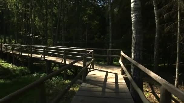 Une Promenade Long Pont Bois Dans Forêt Clôtures Métal Lourd — Video