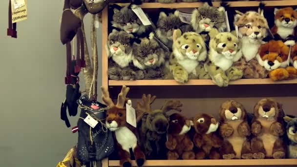 动物园礼品店和纪念品商店收藏野生动物 软垫玩具 礼品店或纪念品商店是主要销售纪念品 纪念品及其他与主题有关的物品的商店 — 图库视频影像