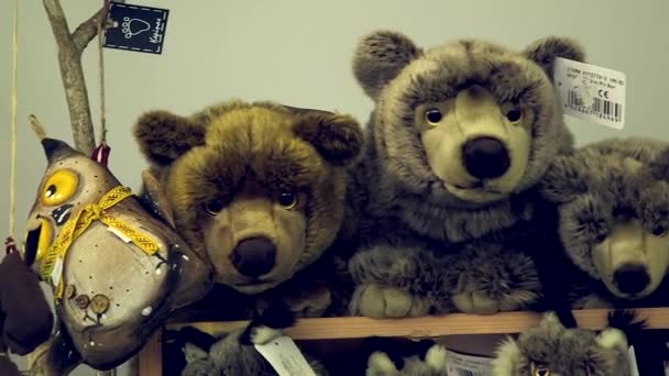 Animais Selvagens Recheados Brinquedos Pelúcia Macia Loja Presentes Lembranças Zoológico — Vídeo de Stock