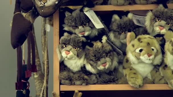 Animais Selvagens Recheados Brinquedos Pelúcia Macia Loja Presentes Lembranças Zoológico — Vídeo de Stock