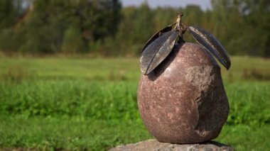 Stone and Metal 'den büyük kızılcık heykeli. Yaban mersinleri, Asidik Bataklıkları 'nda bulunabilir. Orosferin serin bölgeleri boyunca..
